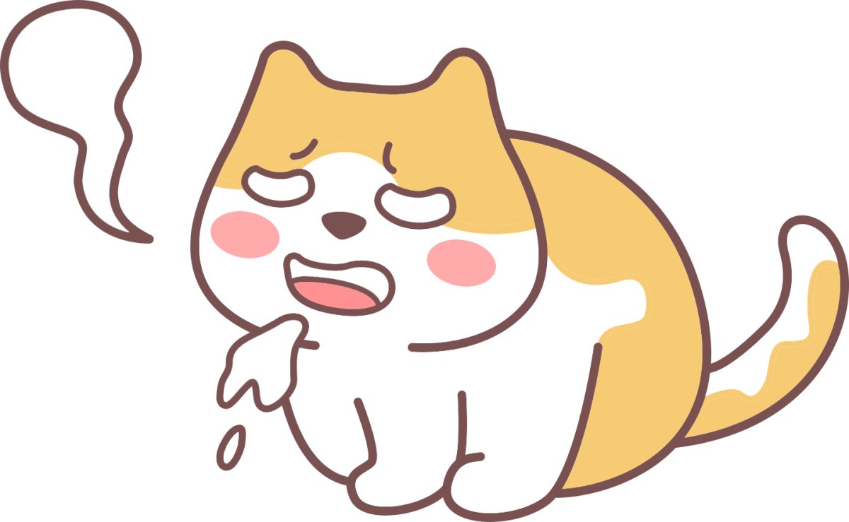 猫咪洗完澡没精神