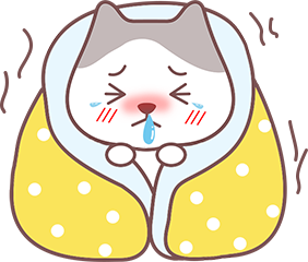 猫咪洗澡着凉
