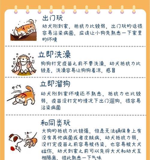 法国指示猎犬的饲养方法（健康、训练、社交化的关键）