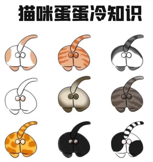 猫咪绝育对粘人度的影响（探究猫咪绝育后是否会更加亲人的现象及其原因）