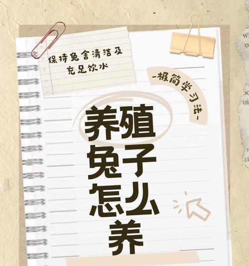 兔子饮食需求与喂养注意事项全攻略