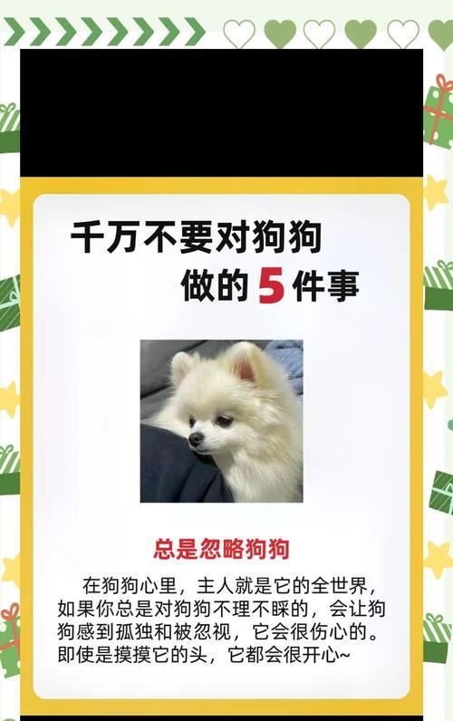 家里有狗小偷敢来吗？（家庭宠物狗的安全性及对小偷的威慑力分析）