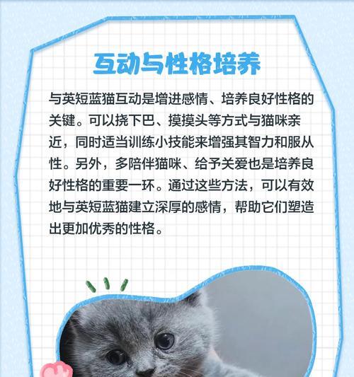 揭秘英短蓝猫发腮的秘密（探索英短蓝猫发腮的原因和方法）