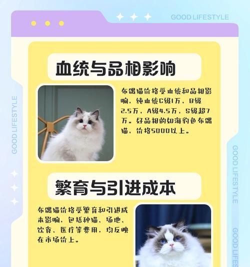 如何让布偶猫单独在家几天也能开心无忧（为您的布偶猫提供合适的环境和照顾，让它安心度过离家期间）