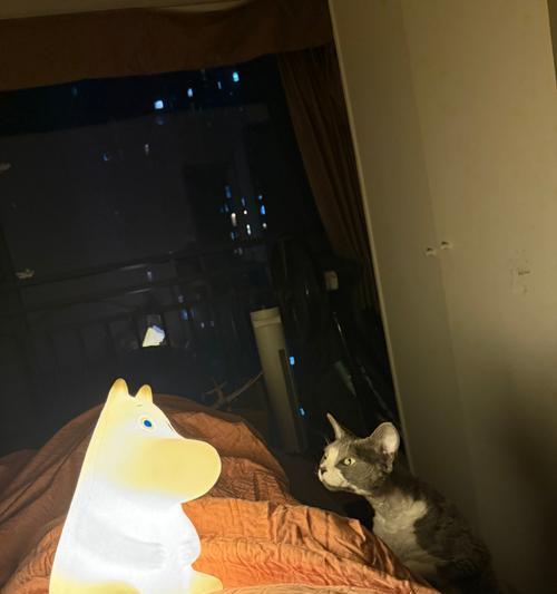 夜晚中猫咪的神秘行为（探究猫咪对着某个地方长时间叫唤的原因）