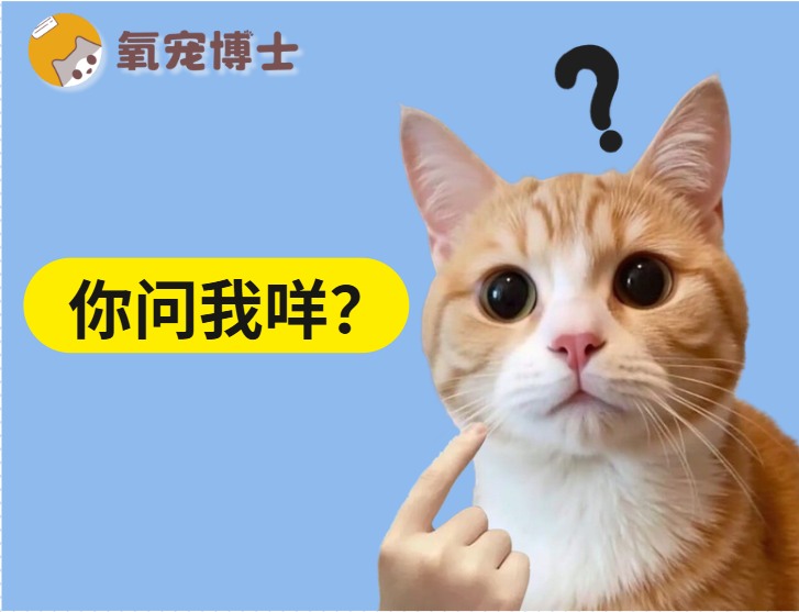 猫咪知道自己被绝育了吗