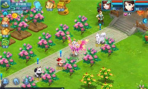 银狐兔的饲养方法（了解银狐兔的基本信息，打造完美饲养环境）