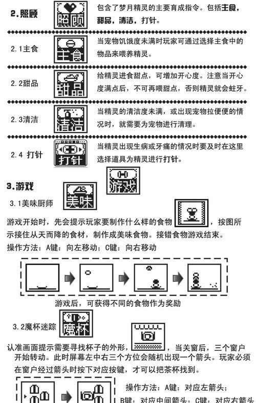 银狐兔饲养全攻略｜打造完美生活环境方法