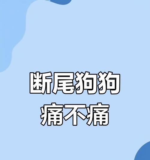 小狗断尾的必要性与方法（为了宠物的健康和安全，断尾是必要的）