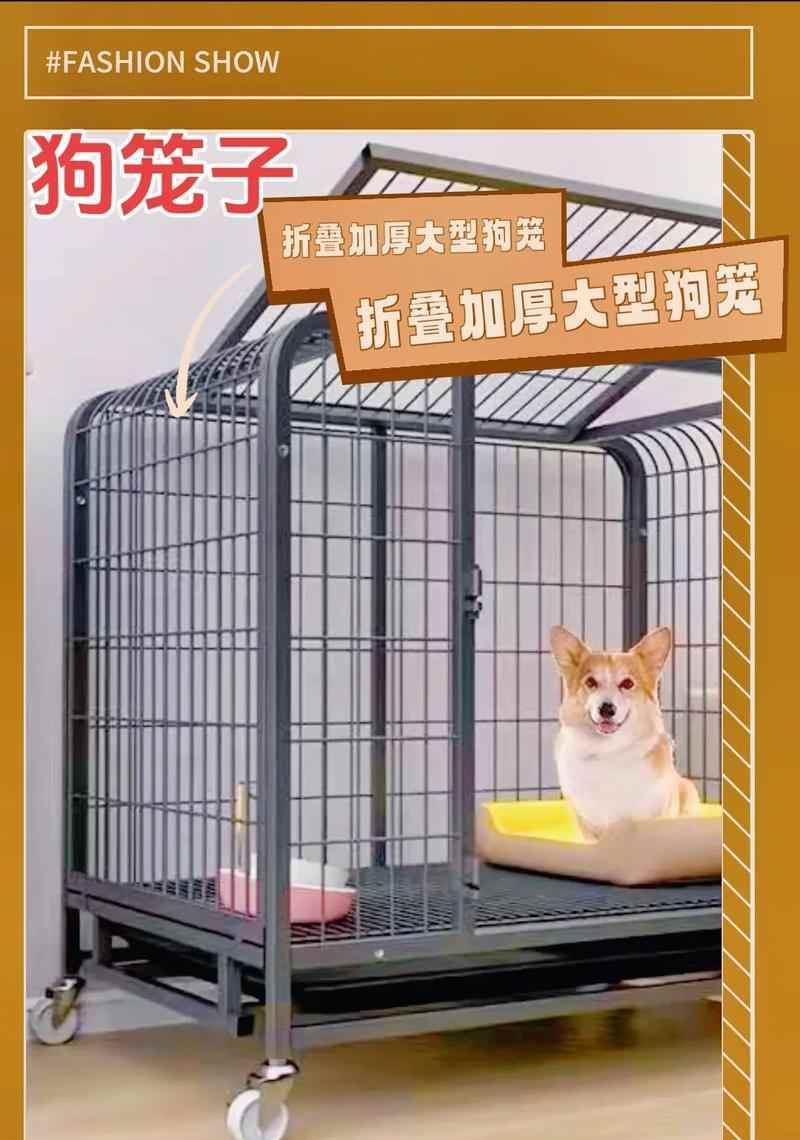 幼犬养护之笼养是否适宜（探究幼犬是否适合长期关在笼子中及影响因素）