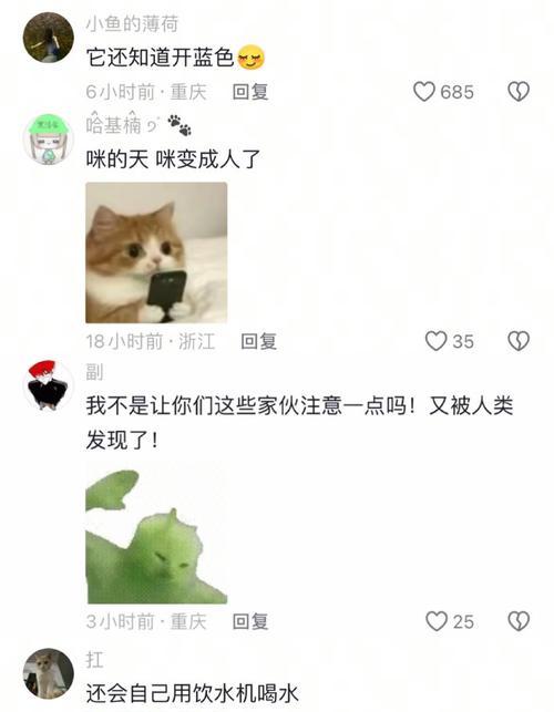 如何让猫喝更多水｜猫咪饮水环境与方式全攻略