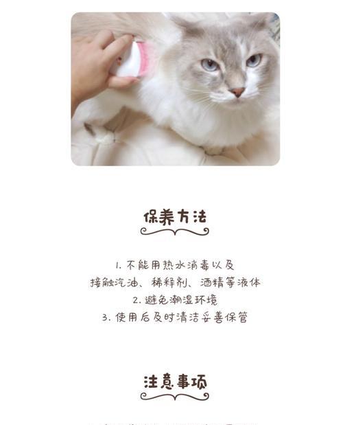 猫毛的梳理频率及注意事项（掌握猫咪毛发梳理的正确节奏，打造健康亮丽的外观）