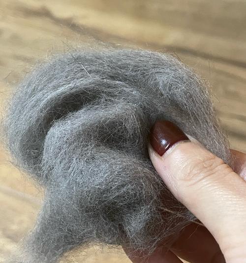 猫毛梳理频率及注意事项全攻略