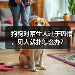 狗狗对陌生人过于热情，见人就扑怎么办？
