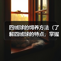 四绒球的饲养方法(了解四绒球的特点,掌握科学的饲养方式)(图1) 四绒球的饲养方法(了解四绒球的特点,掌握科学的饲养方式)(图1)