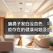 猫鼻子发白没血色，可能存在的健康问题及应对方法（探究猫鼻子发白没血色的原因和治疗方案）（图1）