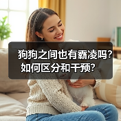 狗狗之间也有霸凌吗？如何区分和干预？