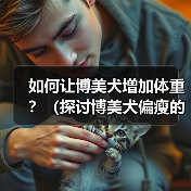 如何让博美犬增加体重？（探讨博美犬偏瘦的原因以及增肥的有效方法）（图2）