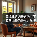 四绒球的饲养方法(了解四绒球的特点,掌握科学的饲养方式)(图3) 四绒球的饲养方法(了解四绒球的特点,掌握科学的饲养方式)(图3)