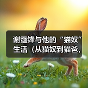 谢霆锋与他的“猫奴”生活（从猫奴到猫爸，谢霆锋与他养的猫的温馨故事）（图4）