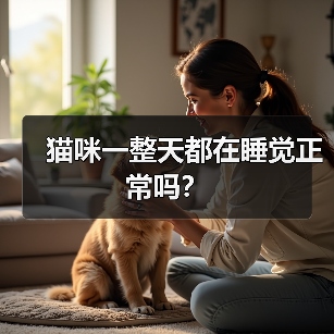 猫咪一整天都在睡觉正常吗？