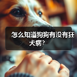 怎么知道狗狗有没有狂犬病？
