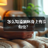 怎么知道猫咪身上有没有虫？（图3）