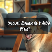 怎么知道猫咪身上有没有虫？（图4）