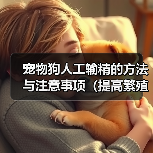 宠物狗人工输精的方法与注意事项(提高繁殖效率的关键技巧与建议)(图1) 宠物狗人工输精的方法与注意事项(提高繁殖效率的关键技巧与建议)(图1)