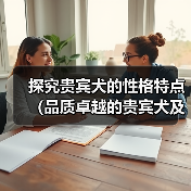 探究贵宾犬的性格特点（品质卓越的贵宾犬及其表现）（图3）