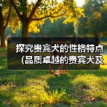探究贵宾犬的性格特点（品质卓越的贵宾犬及其表现）（图4）