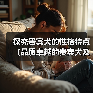 探究贵宾犬的性格特点（品质卓越的贵宾犬及其表现）（图1）