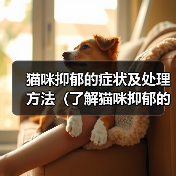 猫咪抑郁的症状及处理方法（了解猫咪抑郁的迹象，保持它们的幸福）（图2）