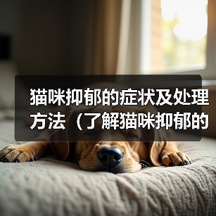 猫咪抑郁的症状及处理方法（了解猫咪抑郁的迹象，保持它们的幸福）（图3）