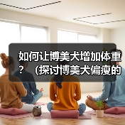 如何让博美犬增加体重？（探讨博美犬偏瘦的原因以及增肥的有效方法）（图3）