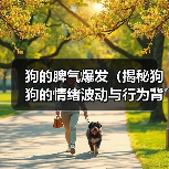 狗的脾气爆发（揭秘狗狗的情绪波动与行为背后的原因）