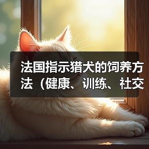 法国指示猎犬的饲养方法（健康、训练、社交化的关键）（图2）