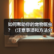 如何帮助你的宠物驱虫？（注意事项和方法分享）（图1）