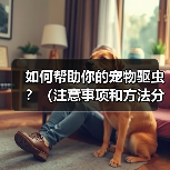 如何帮助你的宠物驱虫？（注意事项和方法分享）（图2）