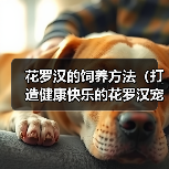 花罗汉的饲养方法（打造健康快乐的花罗汉宠物生活）（图2）
