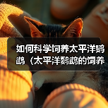 如何科学饲养太平洋鹦鹉（太平洋鹦鹉的饲养方法与技巧）（图3）
