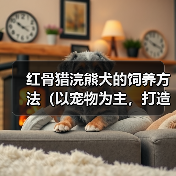 红骨猎浣熊犬的饲养方法(以宠物为主,打造健康快乐的生活)(图1) 红骨猎浣熊犬的饲养方法(以宠物为主,打造健康快乐的生活)(图1)