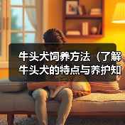 牛头犬饲养方法（了解牛头犬的特点与养护知识，打造健康活泼的宠物生活）（图4）