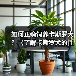 如何正确饲养卡斯罗犬?(了解卡斯罗犬的性格和需要,从而做好饲养工作)(图2) 如何正确饲养卡斯罗犬?(了解卡斯罗犬的性格和需要,从而做好饲养工作)(图2)