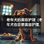 老年犬的美容护理(老年犬也需要美容护理,关注老年犬的美丽与健康)(图2) 老年犬的美容护理(老年犬也需要美容护理,关注老年犬的美丽与健康)(图2)