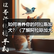 如何喂养你的阿拉斯加犬?(了解阿拉斯加犬的饮食需求)(图2) 如何喂养你的阿拉斯加犬?(了解阿拉斯加犬的饮食需求)(图2)