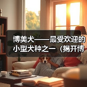 博美犬——最受欢迎的小型犬种之一（揭开博美犬之美的秘密，带您认识这个可爱的小家伙）（图2）