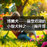 博美犬——最受欢迎的小型犬种之一（揭开博美犬之美的秘密，带您认识这个可爱的小家伙）（图1）