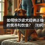 如何给沙皮犬提供正确的营养和饮食?(如何给沙皮犬提供正确的营养和饮食?)(图4) 如何给沙皮犬提供正确的营养和饮食?(如何给沙皮犬提供正确的营养和饮食?)(图4)