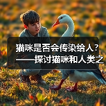 猫咪是否会传染给人?——探讨猫咪和人类之间的健康关系(图2) 猫咪是否会传染给人?——探讨猫咪和人类之间的健康关系(图2)